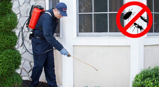 Darıca Dezenfeksiyon böcek ilaçlama ve haşere kontrolü — ilaclama-tr.com